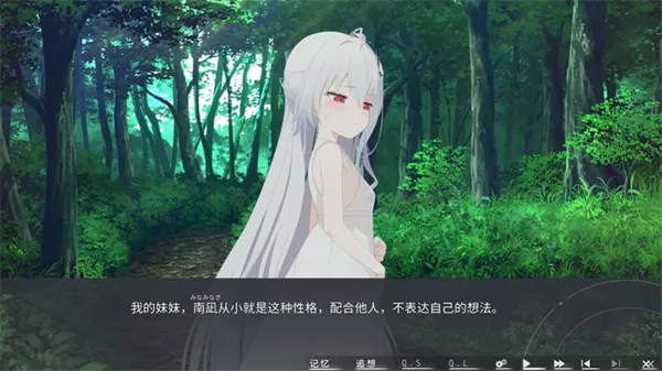 片方的祈愿(二次元美少女游戏)v1.01(2)