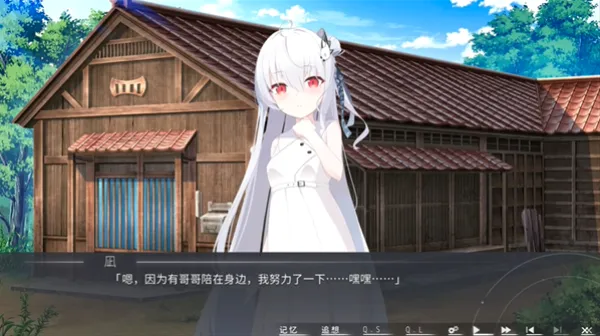 片方的祈愿(二次元美少女游戏)v1.01(4)