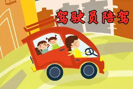驾驶员陪驾(陪驾服务软件)