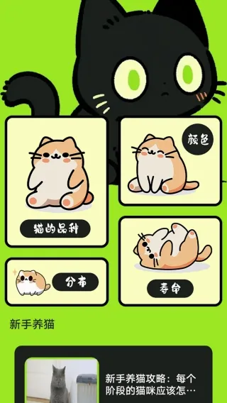 村庄叮叮猫(猫咪养宠助手)