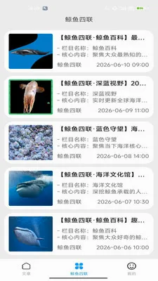 鲸鱼四联最新手机版v2.0(3)