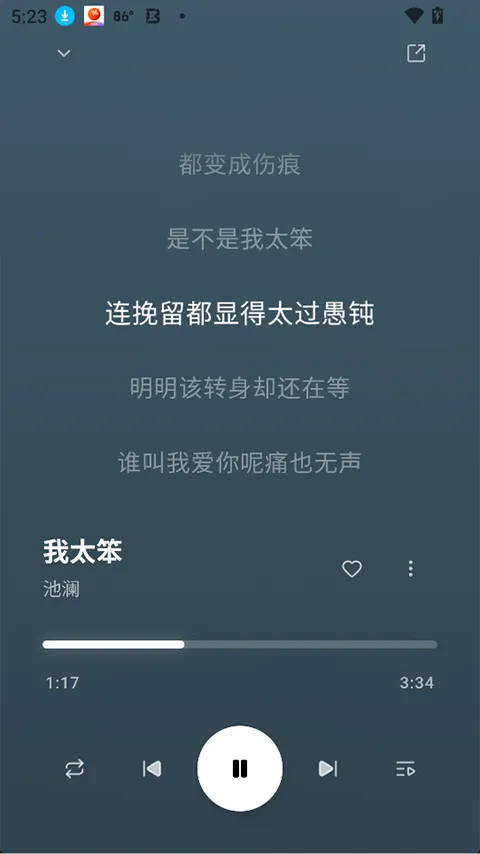 ottermusic水獭音乐2026官方最新版本v2.4.11(1)