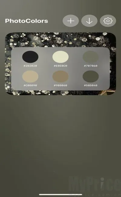 PhotoColors(拍照创作天地)