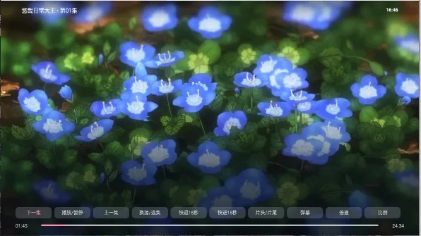 次元咲TV(电视端动漫平台)