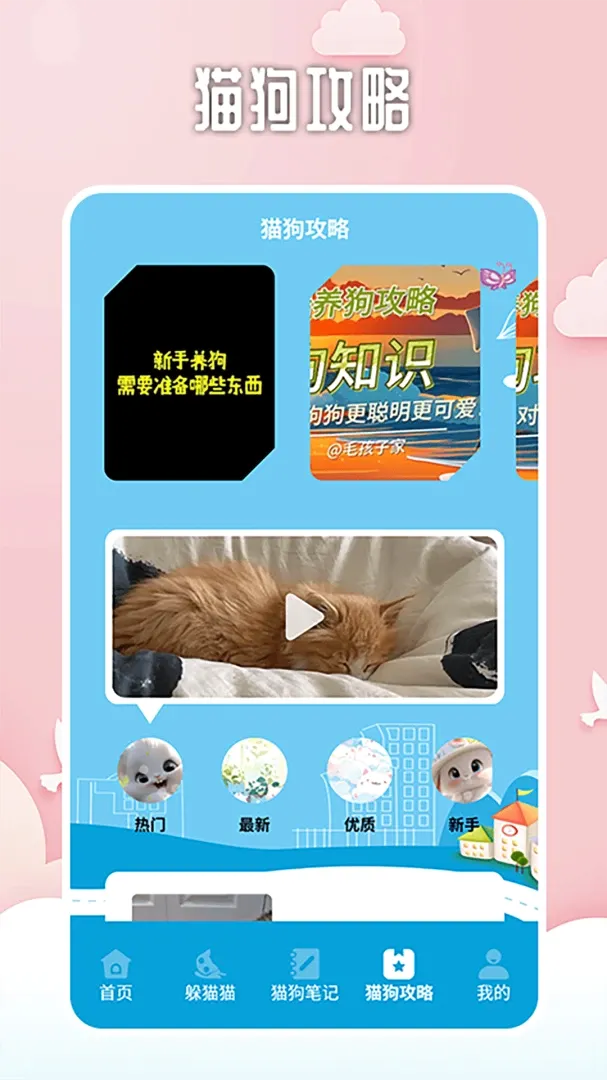 找下猫找下狗2026最新版本v2.1(4)