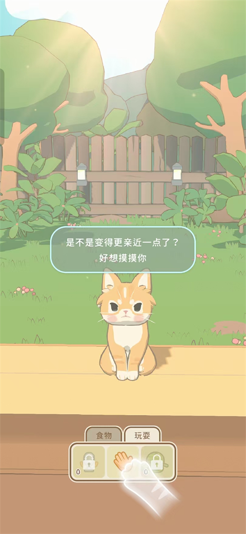 窗外猫