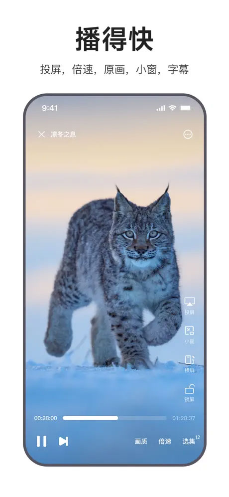 迅雷浏览器苹果版v2.9.0(3)