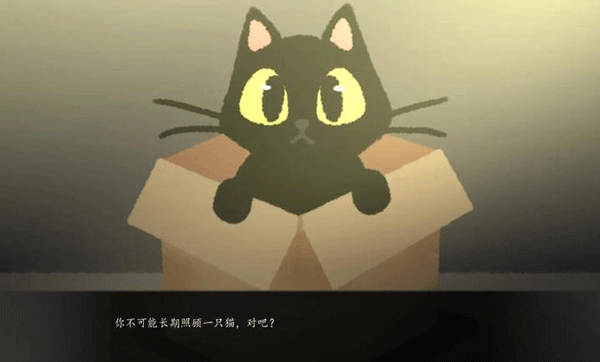 别带这只猫回家v1.0(1)