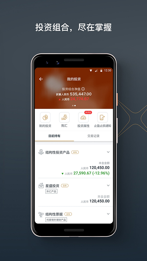 星展银行appv4.5.1(2)