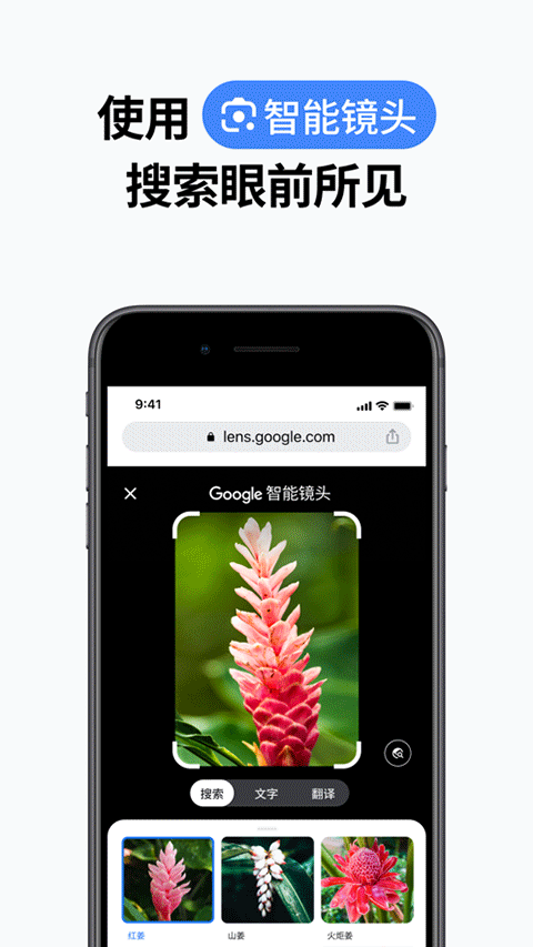 谷歌浏览器苹果手机版v144.0.7559.85(2)