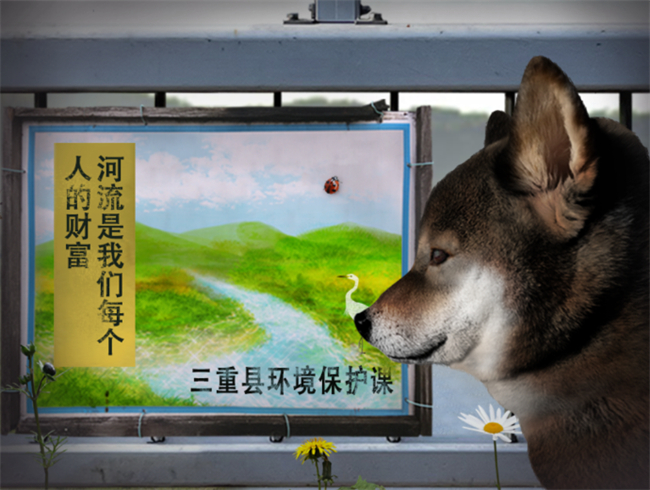 翌日波奇狗的历险记手游