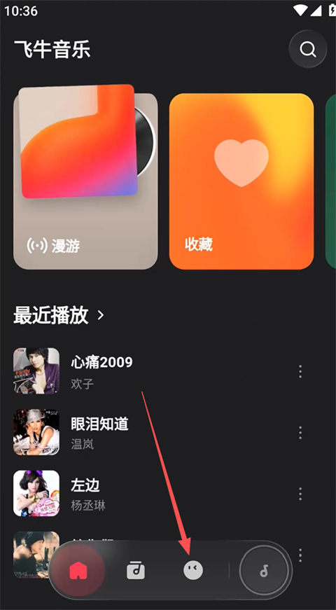 飞牛音乐安卓版