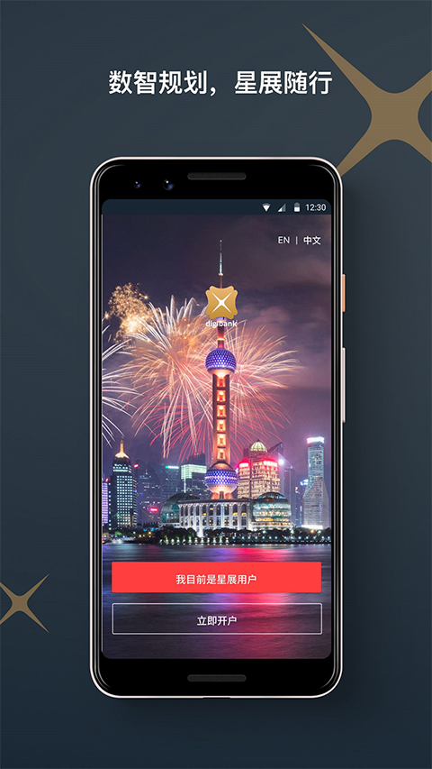 星展银行appv4.5.1(4)