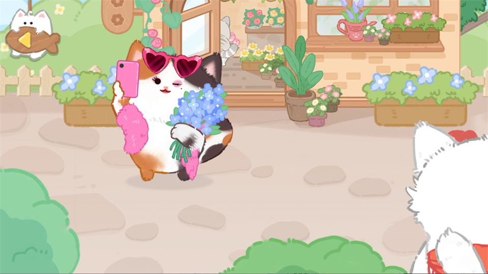 猫咪疗愈所