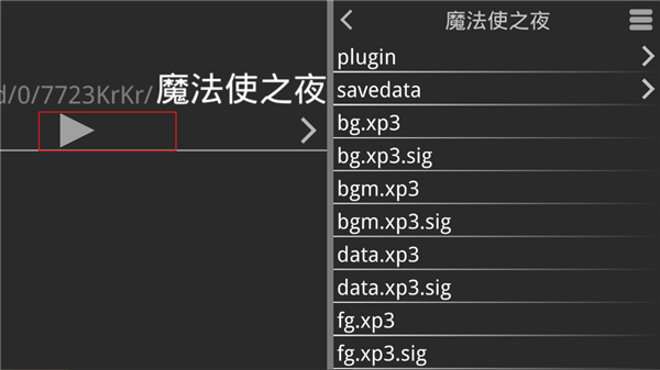 魔法使之夜手机版