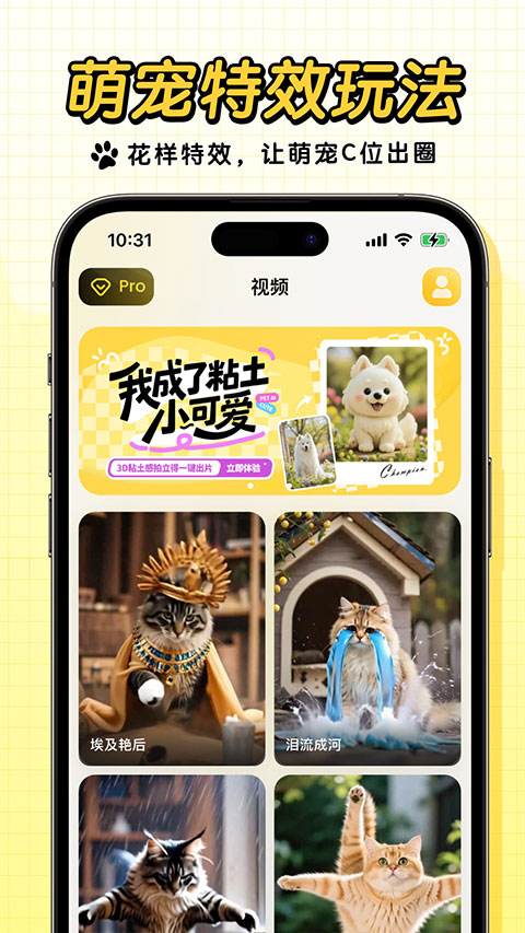 宠玩appv1.8.6(3)