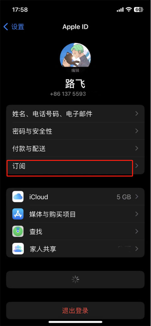 网易云音乐苹果手机版