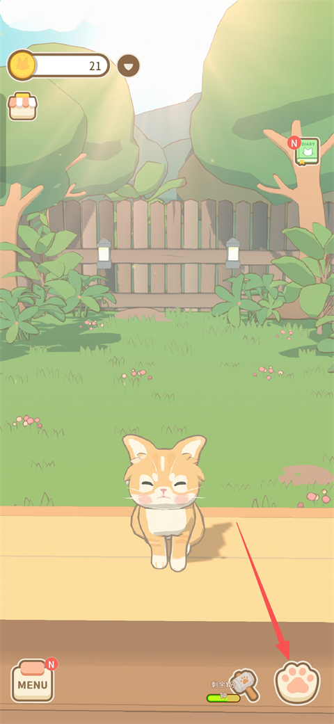 窗外猫