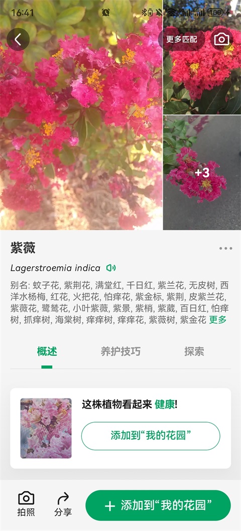 PictureThis植物识别APP