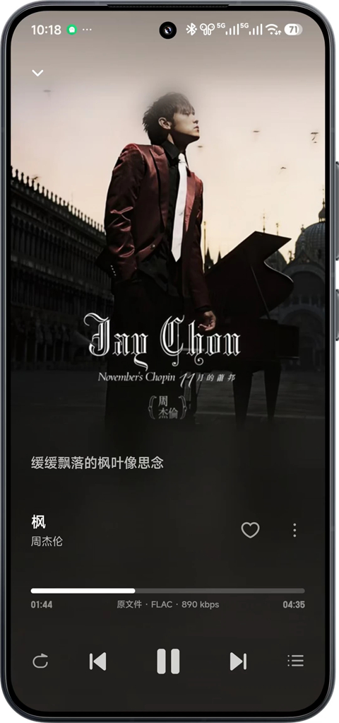 飞牛音乐安卓版v1.0.0(2)