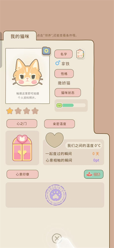 窗外猫