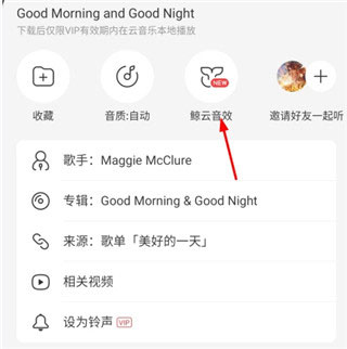 网易云音乐苹果手机版