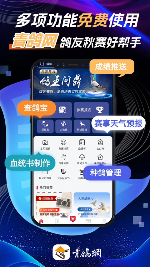 青鸽网Appv4.1.2(1)