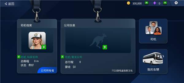 TDZ驾驶模拟器汉化版v1.1(3)