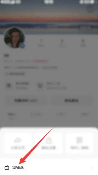 快手ios版