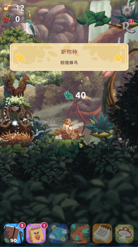 鸟类世界