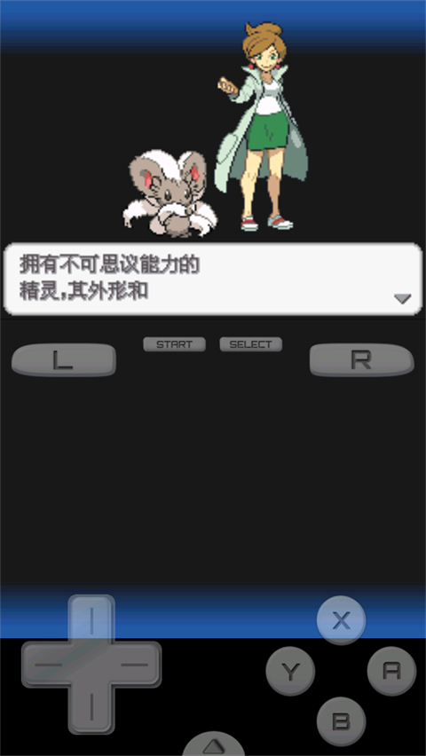 口袋妖怪超透黑2