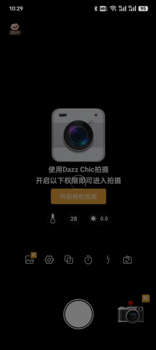 Dazz Chic