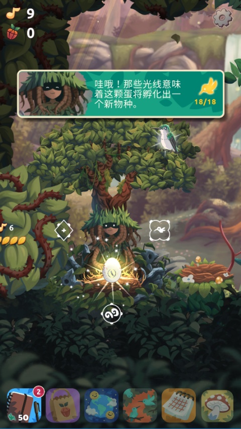 鸟类世界