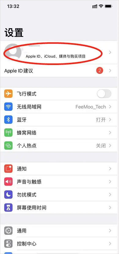 飞猫盘苹果版
